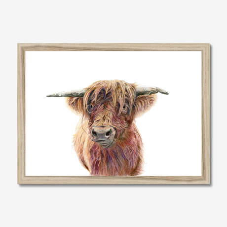 'Wild & Woolly' - Close-up detail of coloured pencil layers in warm russet and golden brown, highland cow print rustic home decor by Crafty Cow Design.