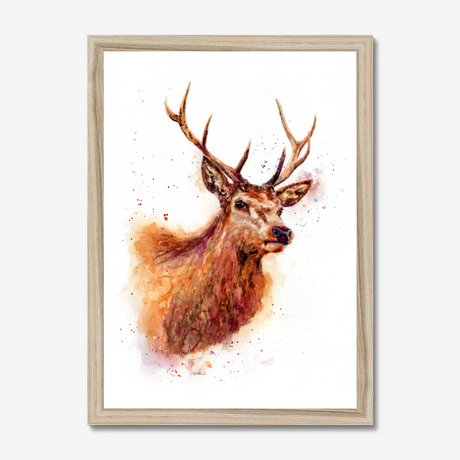 'Monarch of the Glen' - Stag wall art and deer print in rich russet, amber and burgundy watercolour tones, rustic wall art and country home decor buck print for cottage and highland inspired interiors by Crafty Cow Design.