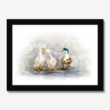'Feathered Friends' - Duck print showing three characterful ducks in soft watercolour tones, birds wall art cottage inspiration by Crafty Cow Design.