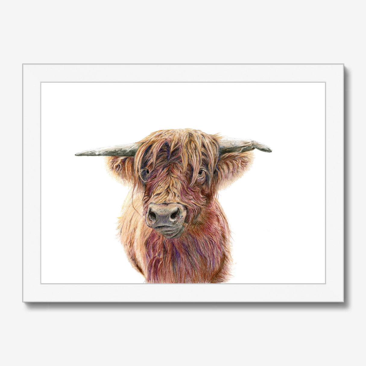 'Wild & Woolly' - Close-up detail of coloured pencil layers in warm russet and golden brown, highland cow print rustic home decor by Crafty Cow Design.