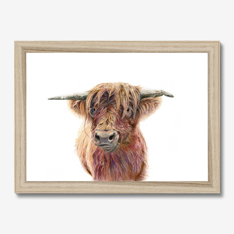 'Wild & Woolly' - Close-up detail of coloured pencil layers in warm russet and golden brown, highland cow print rustic home decor by Crafty Cow Design.