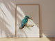 Stunning blue and yellow kingfisher bird print, Watercolour kingfisher bird wall art for sale, kingfisher bird watercolour