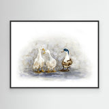 'Feathered Friends' - Framed canvas ducks print in black wood frame, soft watercolour whites and blue green mallard tones, watercolour birds wall art farmhouse wall art by Crafty Cow Design.
