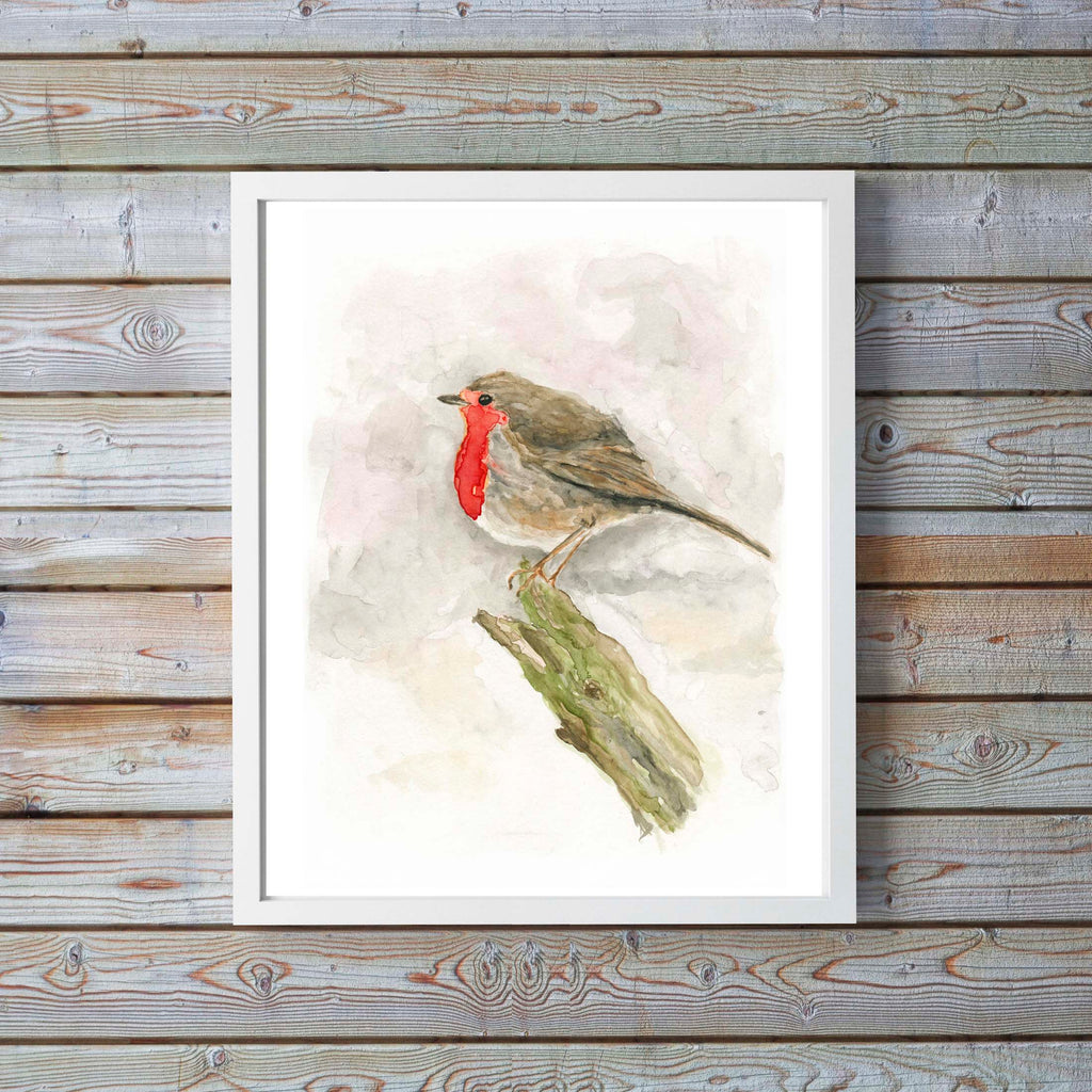 Robin Watercolour Illustration, Watercolor Robin Bird, Watercolor Robin Pictures, Watercolor Robin Paintings, Birds