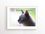 Pet memorials Ideas, Pet Keepsake Pet Rememberence gifts, How to Remember Dead Pets