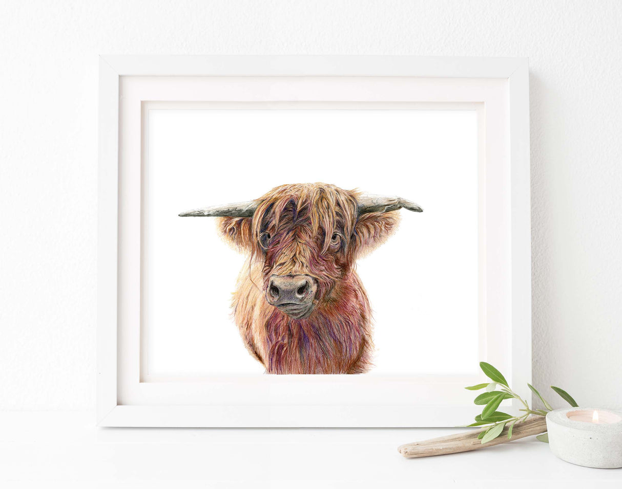 scottish cow pictures, scottish cow artist, scottish cow print, farmhouse wall art decor, modern farmhouse wall art