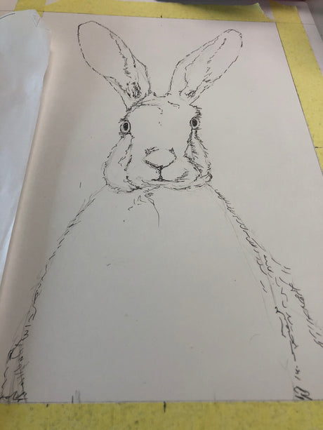 Hare Watercolour Painting - Work in Progress
