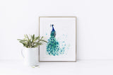 Peacock Art Print, Peacock Watercolor, Peacock Watercolour, Peacock Watercolor Print, Peacock Watercolour Print, Bird Art