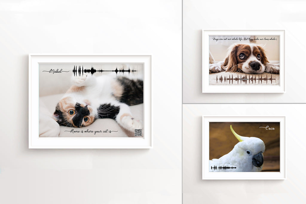 Memorial Gift For Cat, Gift for loss of Pet, Gift for loss of Cat, Pet Photo Gifts UK, Personalised Cat Photo Gifts